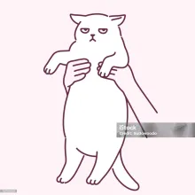 se ve a un gato con cara de entregado, sostenido por un ser humano.